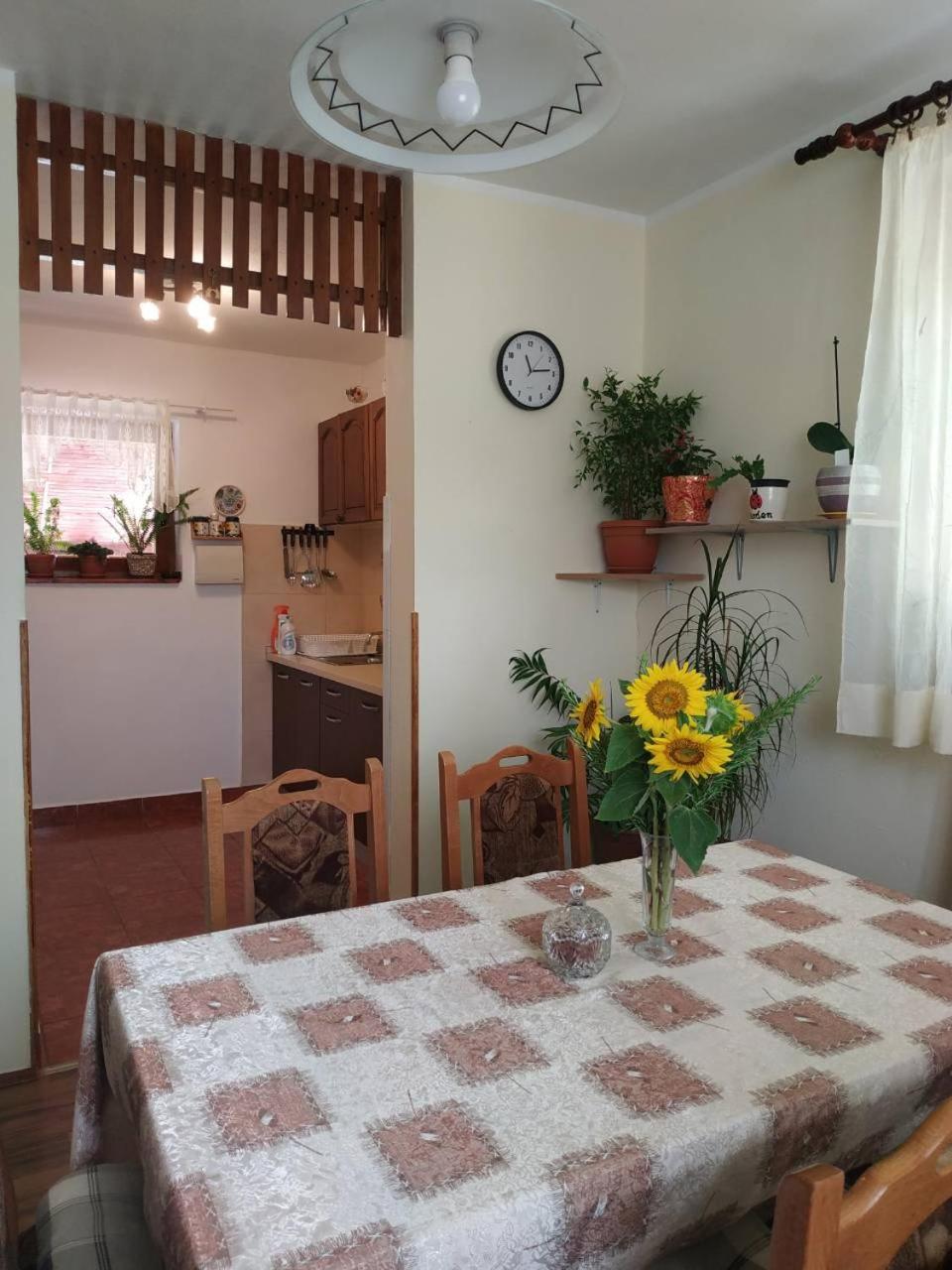 Apartament Apartman Rosa Skradin Zewnętrze zdjęcie